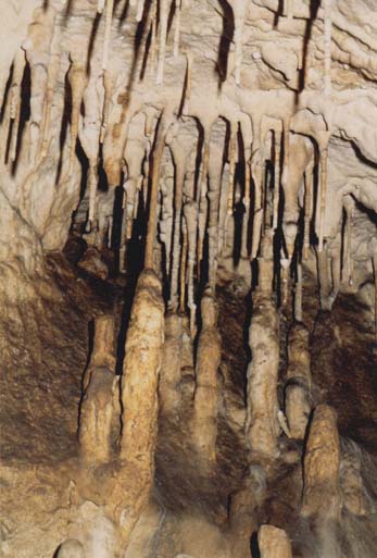 Grotte 42